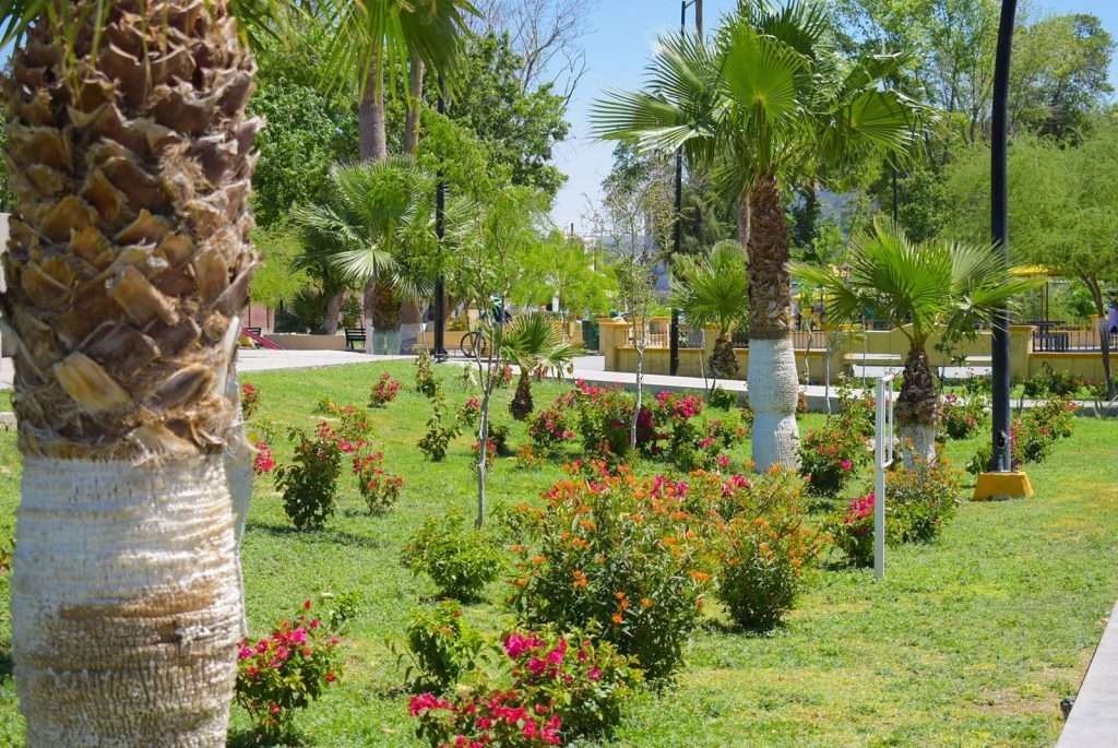 Ciudadanía reconoce las mejoras realizadas en la Alameda Zaragoza