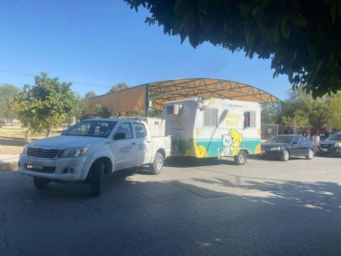 Control Canino realizó 190 esterilizaciones de perros y gatos en distintas colonias de Torreón