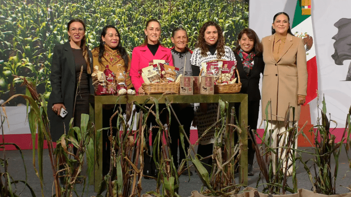 El maíz es la raíz