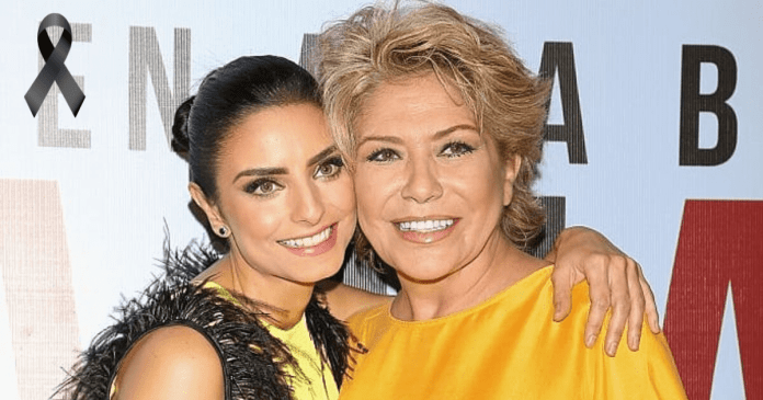 Gabriela Michel, madre de Aislinn Derbez