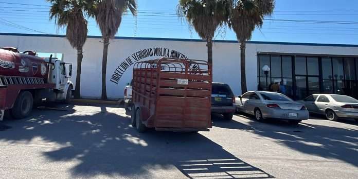 La Fiscalía de Coahuila investiga un caso de abigeato en 5 Manantiales. El ganado robado fue localizado y vendido en Múzquiz