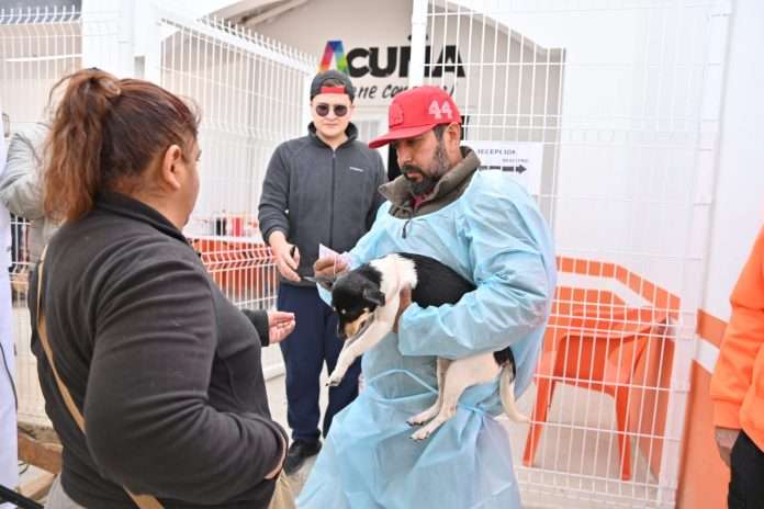 Anuncia municipio campaña masiva de esterilización gratuita