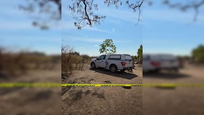 Abuela y nieto encontrados sin vida