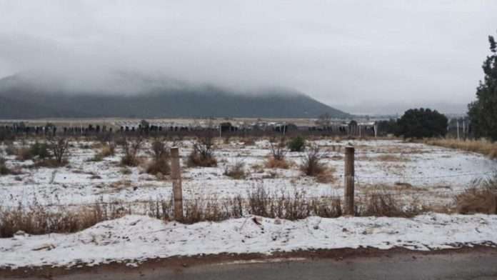 Caída de nieve