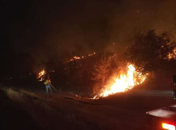 Un incendio de gran magnitud se registró en los terreros de la empresa Koura Múzquiz