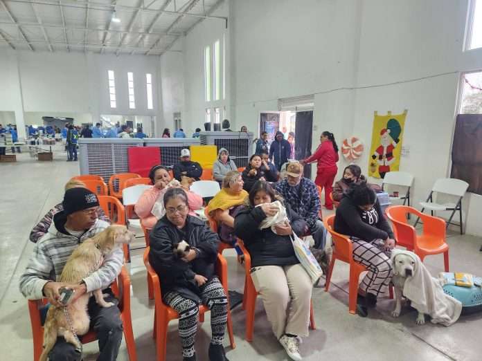 Concluye con éxito segunda campaña masiva de esterilización en Acuña