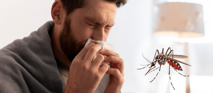 Casos de dengue en Coahuila enero 2026