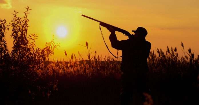 Susana Estens de la Garza Medio Ambiente