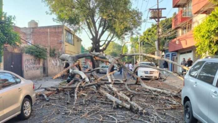 Sismo CDMX