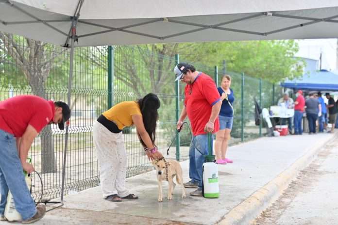 Convoca Unidad Canina a feria de atención a mascotas