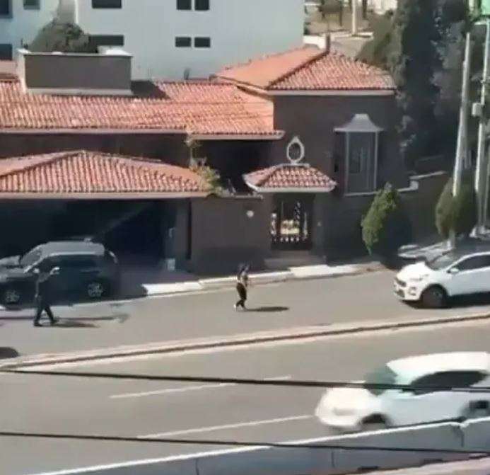 Ana Karen Cruz Garza