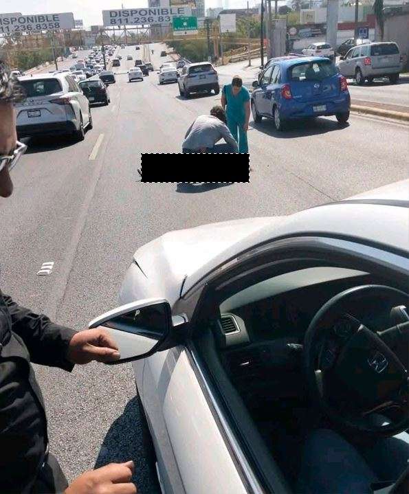 Avenida Paseo de los Leones