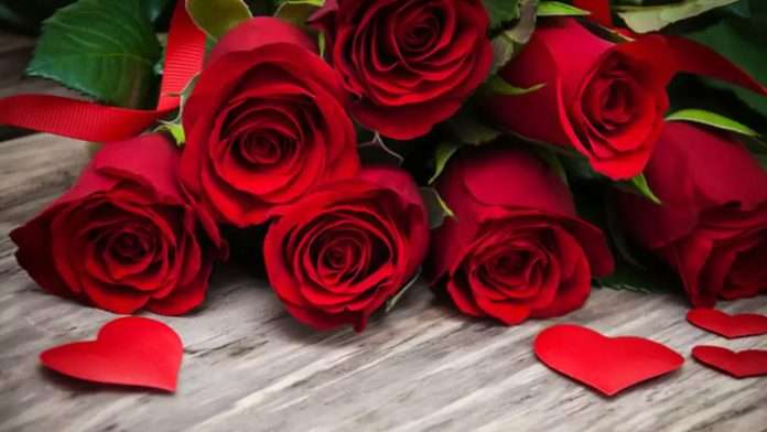 Flores