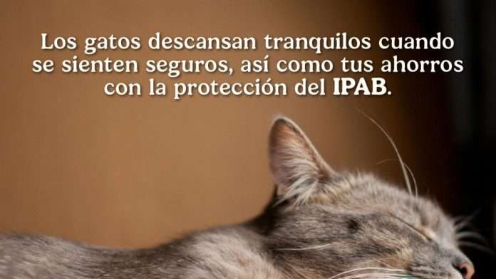 IPAB