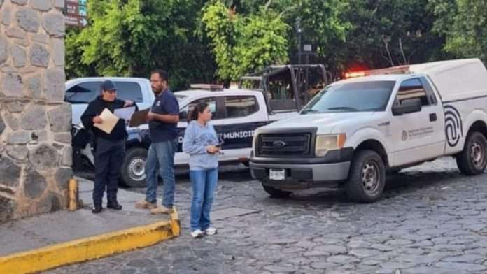 Investigan muerte de 14 perros