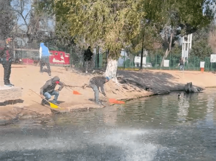 Limpieza de lago Deportiva