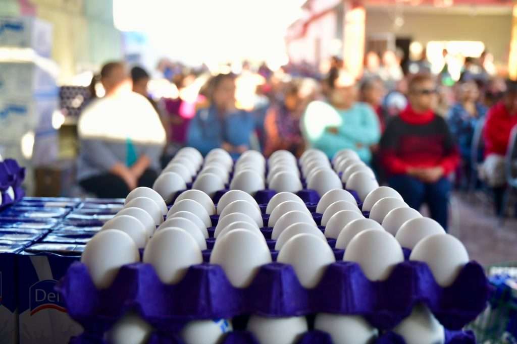 Mejora Coahuila entrega huevo y leche en Castaños