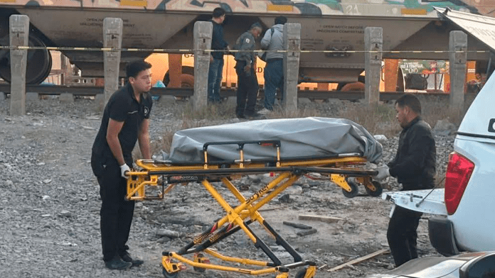 Se arroja a las vías del tren