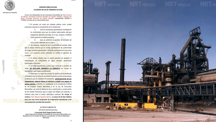 Subasta de AHMSA y Minera del Norte