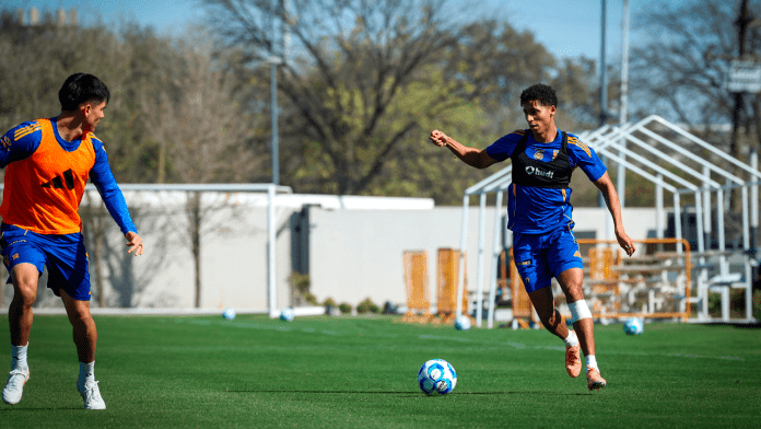 Tigres entrenamiento