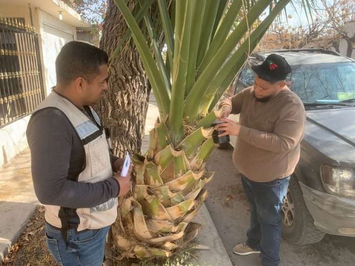 Realiza Jurisdicción Sanitaria 03 acciones de prevención contra el dengue