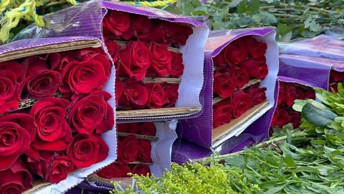 Ramos buchones marcan tendencia este 14 de febrero en la Región Carbonífera