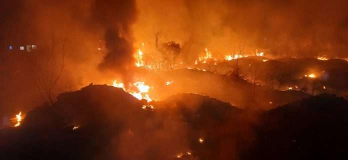Un incendio forestal en Múzquiz ha afectado 185 hectáreas y derribó postes de la CFE.