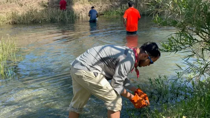 Gracias a este esfuerzo conjunto, se logró la recolección de aproximadamente cinco toneladas de basura durante la jornada de este viernes.