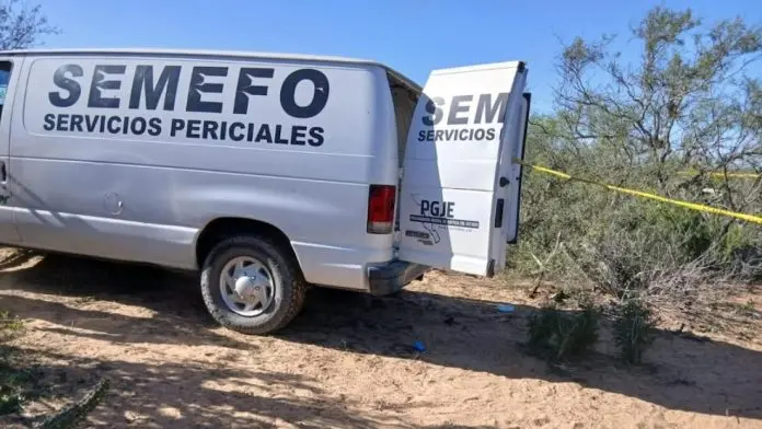 SEMEFO