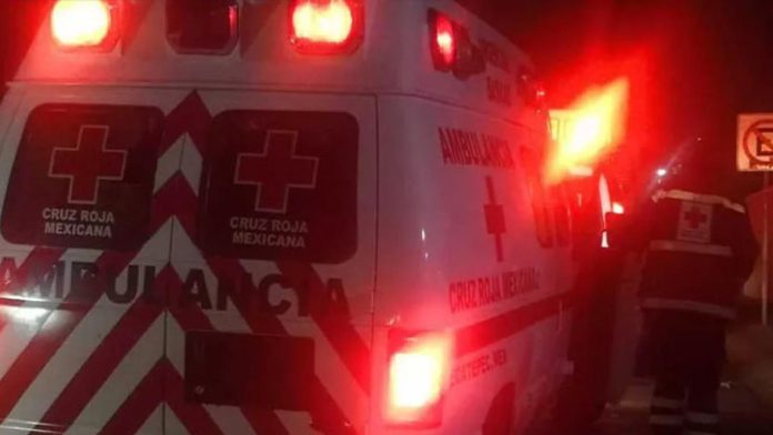 Albañil pierde la vida