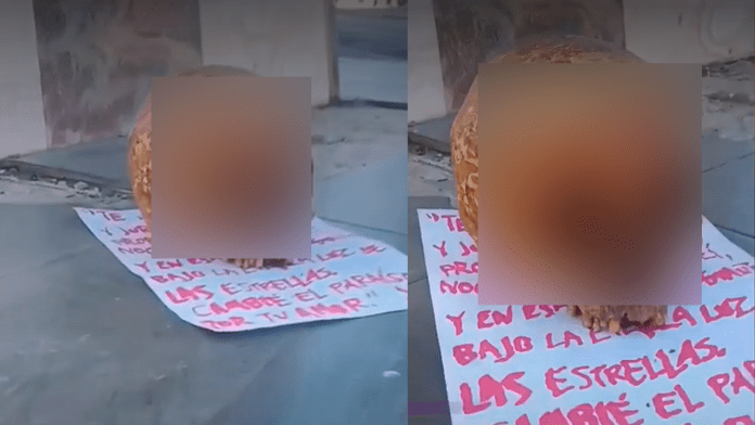 Cráneo humano en plaza de Gómez Palacio