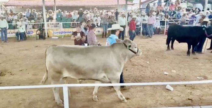 fiestas grandes de sabinas