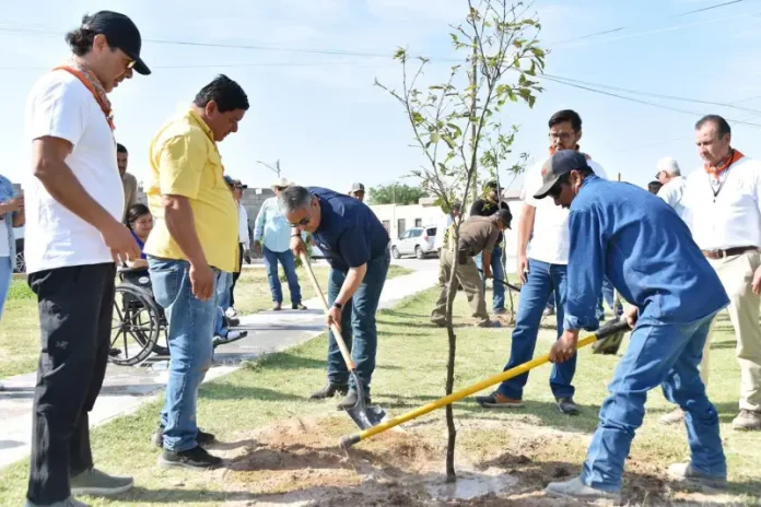 Impulsan reforestación en Cuatro Ciénegas con la siembra de 200 encinos