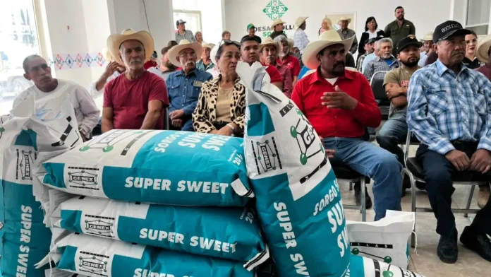 Entregan 21 toneladas de sorgo forrajero a 200 ejidatarios de Múzquiz, beneficiando 330 hectáreas en el ciclo Primavera–Verano 2026.