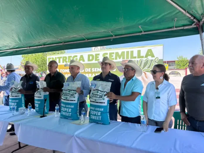 Entregan semilla de sorgo forrajero en Sabinas