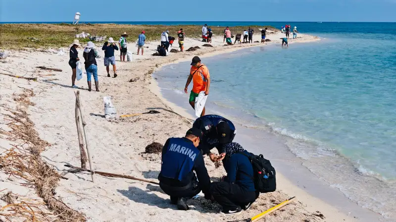 Las acciones incluyen limpieza, monitoreo y contención del material detectado.