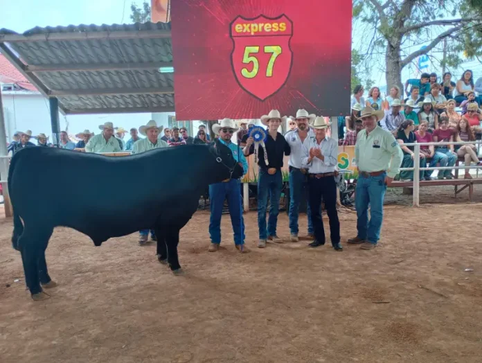 MEJORAMIENTO GENETICO