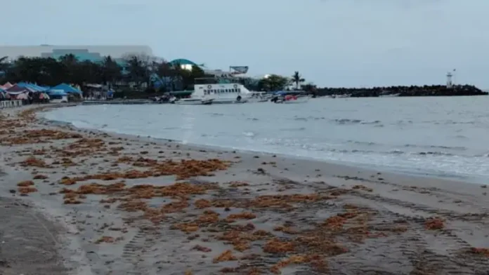 Playas de México en condiciones óptimas