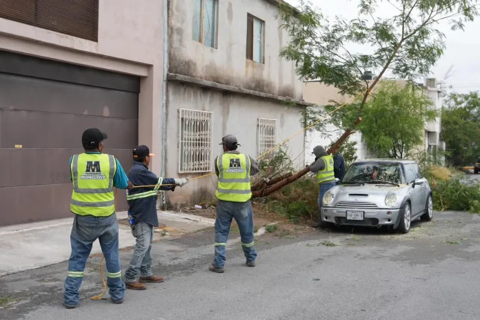Servicios primarios de Monclova recorre sectores para atender reportes
