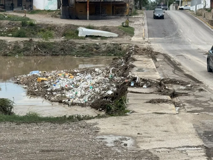 Alerta Ecología por contaminación en el Arroyo Las Vacas