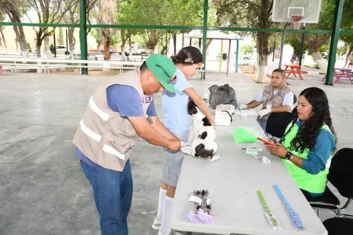 Continúa campaña antirrábica y desparasitación en Progreso
