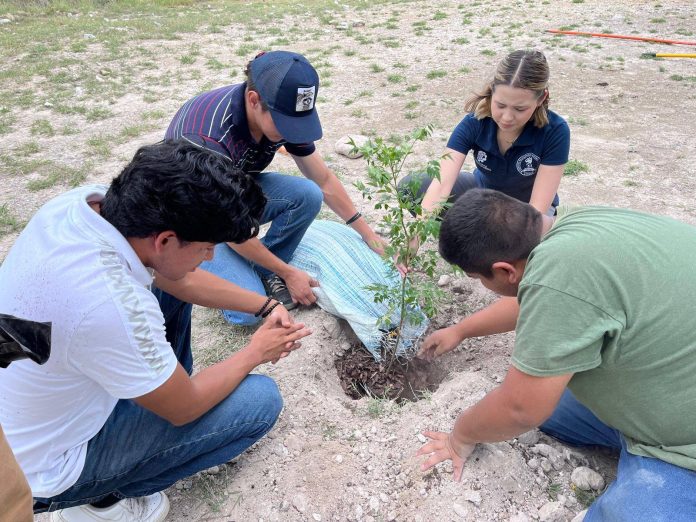 Alumnos de Ingeniería en Gestión Empresarial del Instituto Tecnológico Superior de Múzquiz participaron en una jornada de plantación de árboles, promoviendo el cuidado del medio ambiente y el compromiso social.