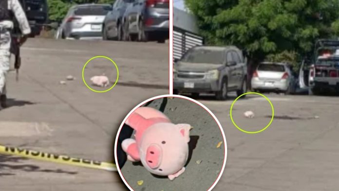 Cerdito rosa vuelve a aparecer en escena que investiga la Fiscalía
