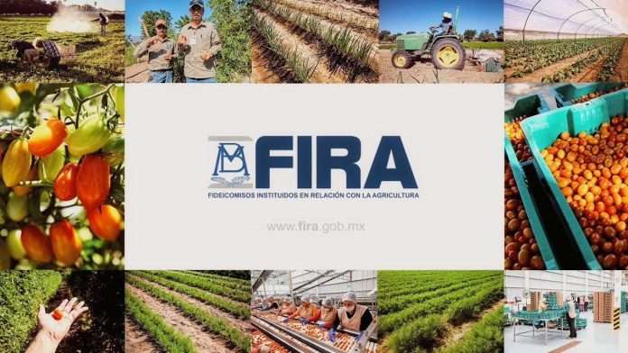 Crédito FIRA