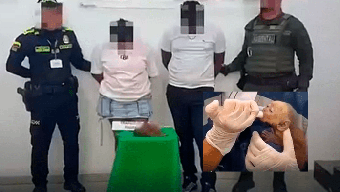 Los detienen por traficar monos bebé