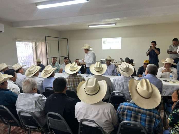 Refuerzan coordinación para contener gusano barrenador en la Región Centro