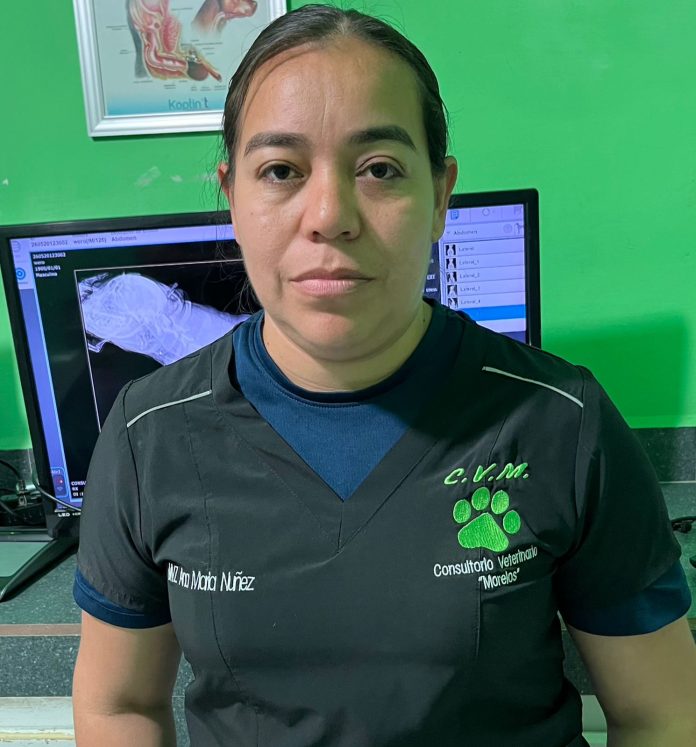 El Gobierno Municipal de Múzquiz y la Clínica Veterinaria Morelos mantienen activa la campaña permanente de esterilización para perros criollos.