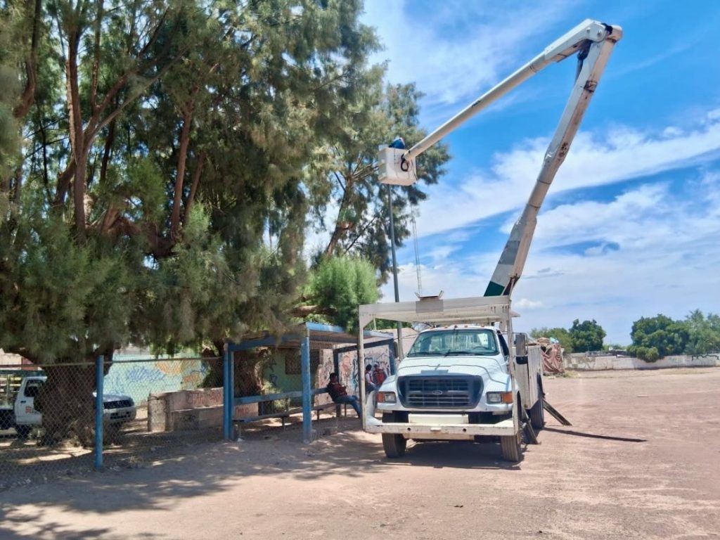 Fortalecen acciones de rehabilitación de espacios públicos y mantenimiento en áreas verdes en Torreón