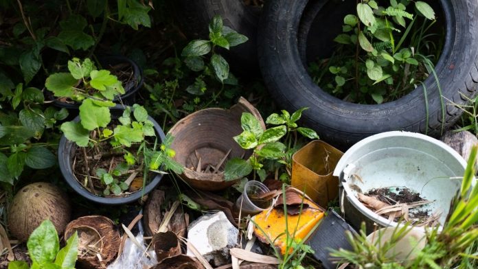 El Sector Salud reforzó las acciones preventivas contra el dengue durante la temporada de lluvias en Múzquiz y la Región Carbonífera