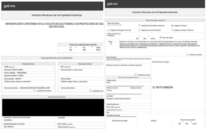 Intento de registro del Merlín por Rosa María Hernández Flores